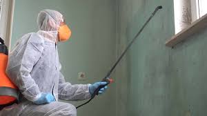 Best Mold Prevention Services in Spotsylnia Courthouse, VA